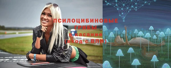 ешки Горнозаводск