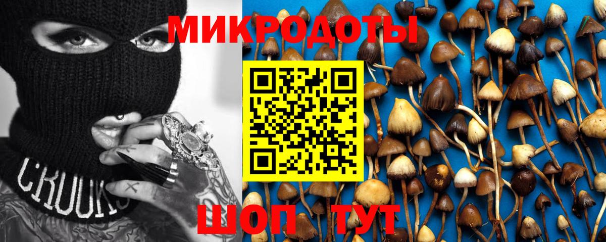 Галлюциногенные грибы MAGIC MUSHROOMS  Псилоцибиновые грибы GOLDEN TEACHER  Дятьково  Вход с VPN 
