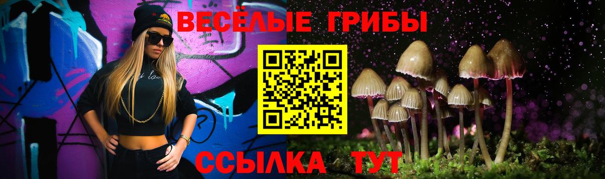 Псилоцибиновые грибы Cubensis Дятьково