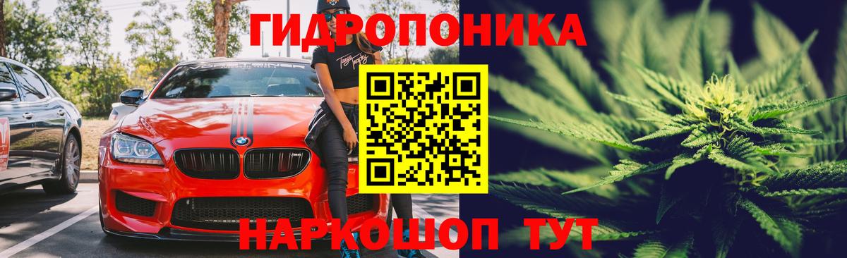 Бошки марихуана OG Kush Дятьково